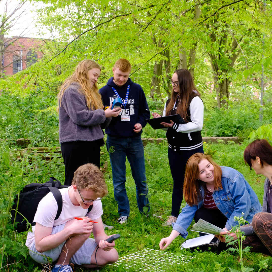 Six Environmental Science students outside among the trees conducting field work with field equipment and notepads.