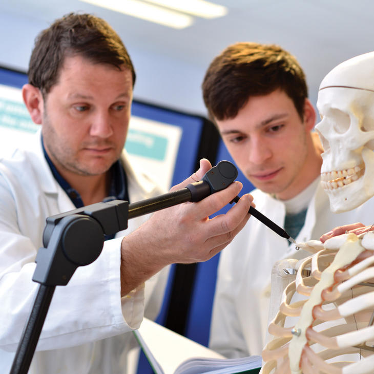 Medical Engineering Researchers Measuring Anatomical Skeleton