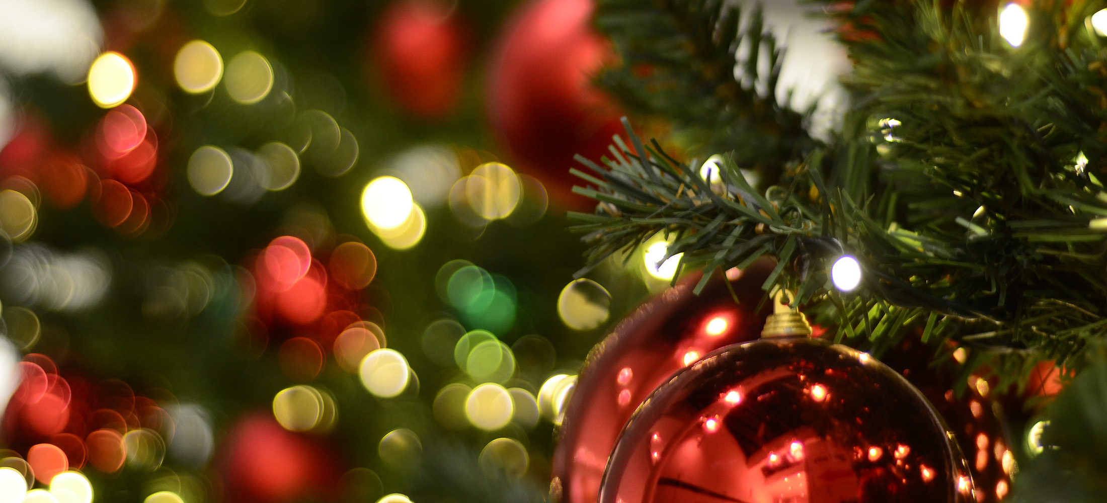 christmas party nights 2018 university of hull christmas party nights 2018 university of hull