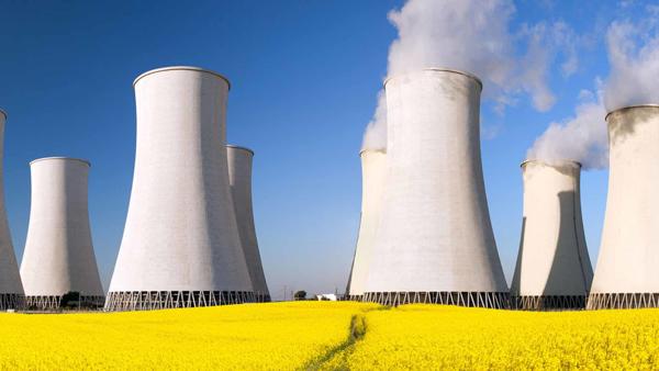 Steam billows from cooling towers sat in a field of yellow flowers, against a blue sky