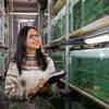Environmental Science student, Nadira Rahmania Hendarta, looks into the aquarium tanks in the labs at Hull.