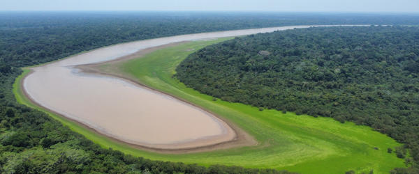 Aerial view of an oxbow lake 