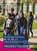 international brochure mini