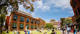 open-day-498