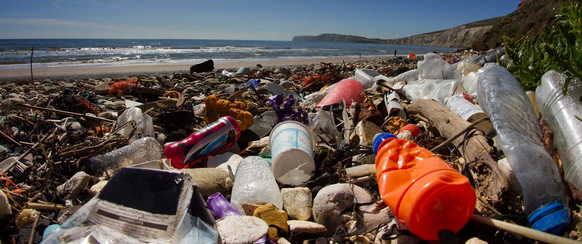 Microplastic-Phd-Cluster-Getty-images-crop