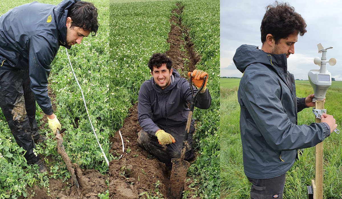 thyme-soil-quality-fieldwork