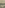 Screenshot (52)