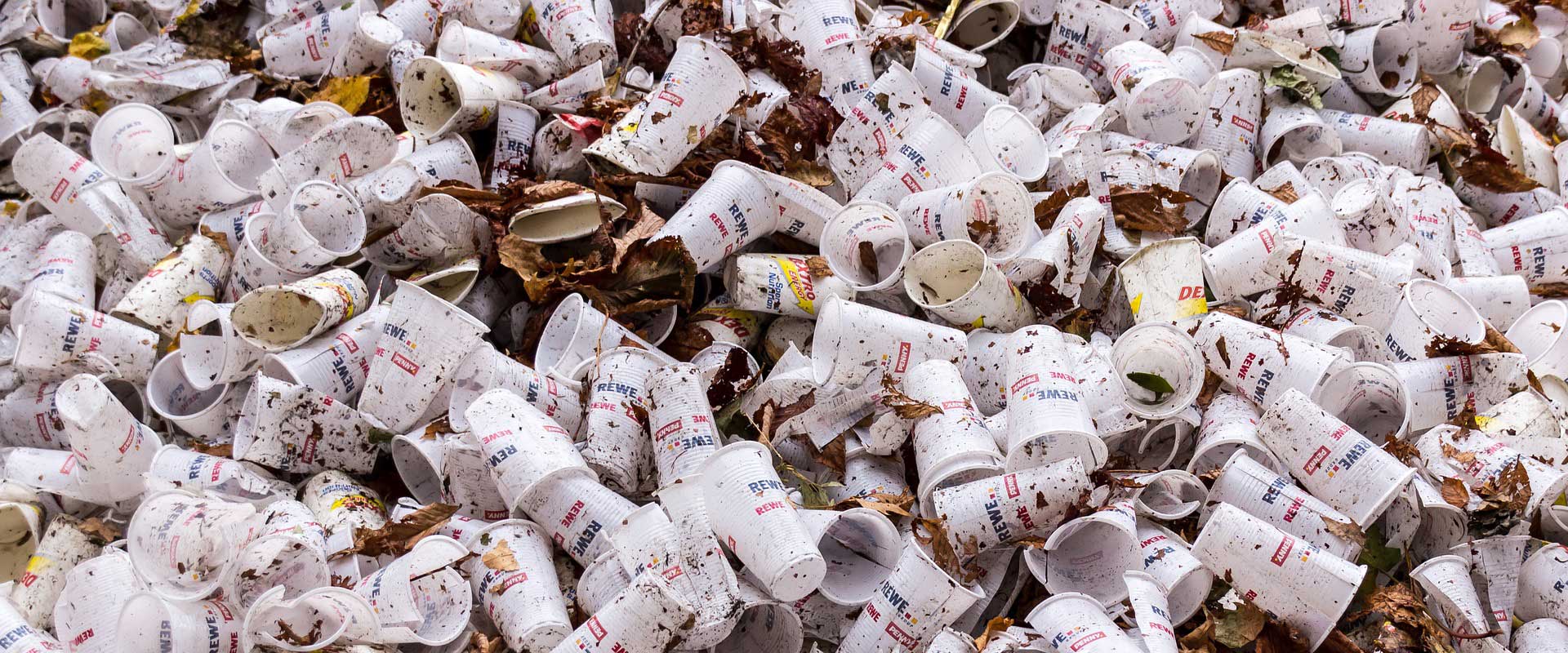 Do Plastic Cups Leach Chemicals at Jonathan Lynch blog