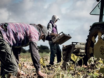 Field workers