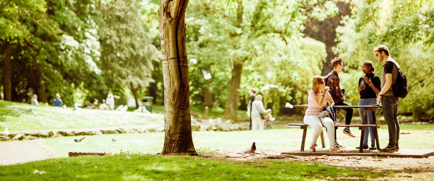 picnic-bench-pearson-park-hero