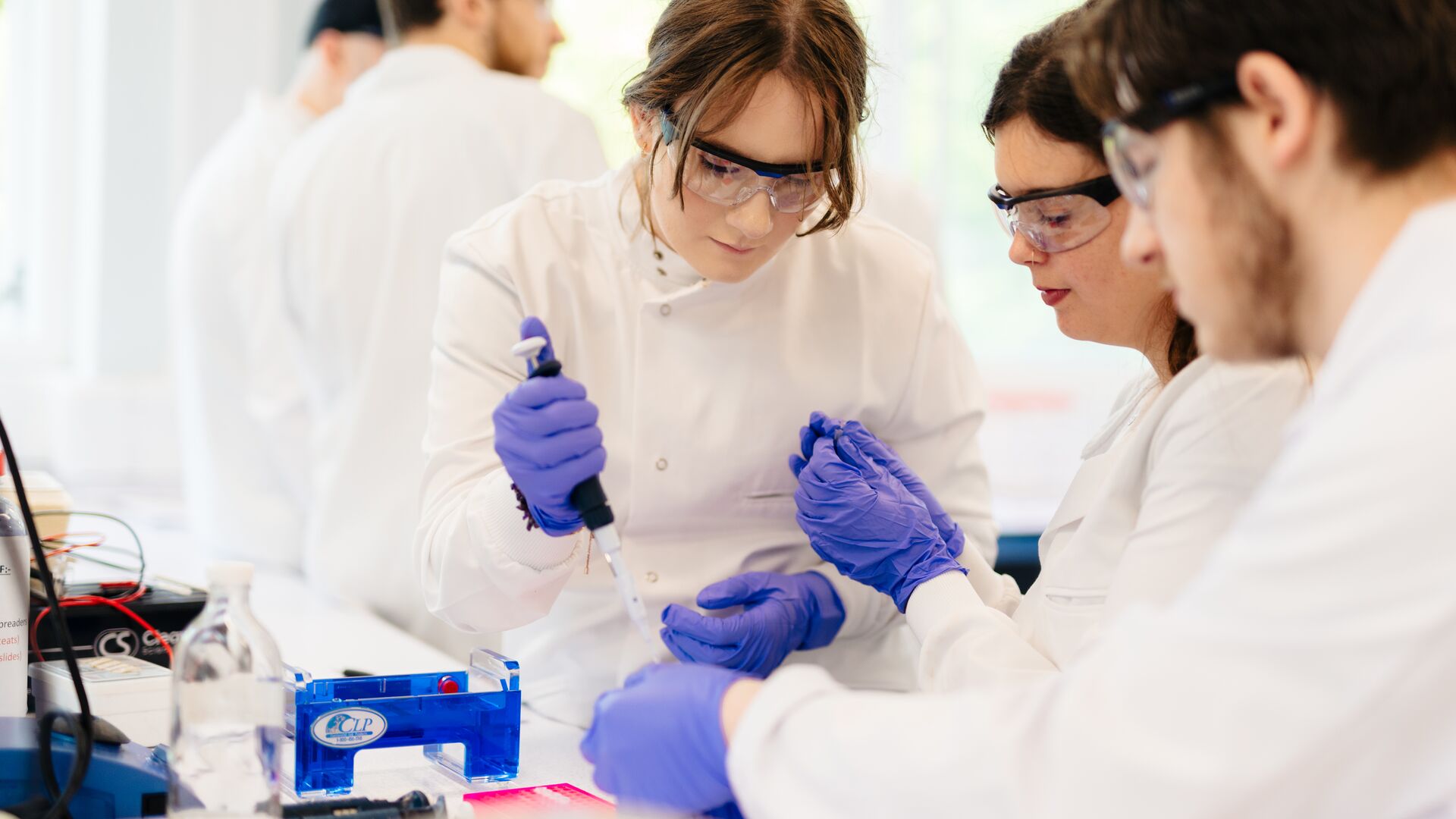 BSc (Hons) Biology Course University of Hull BSc (Hons) Biology Course University of Hull