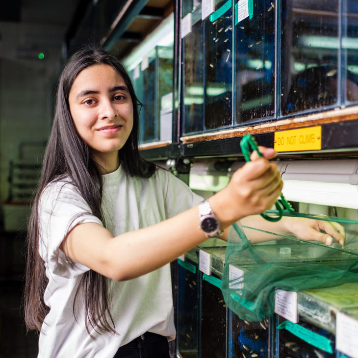 A PhD marine biology student in the aquarium on campus