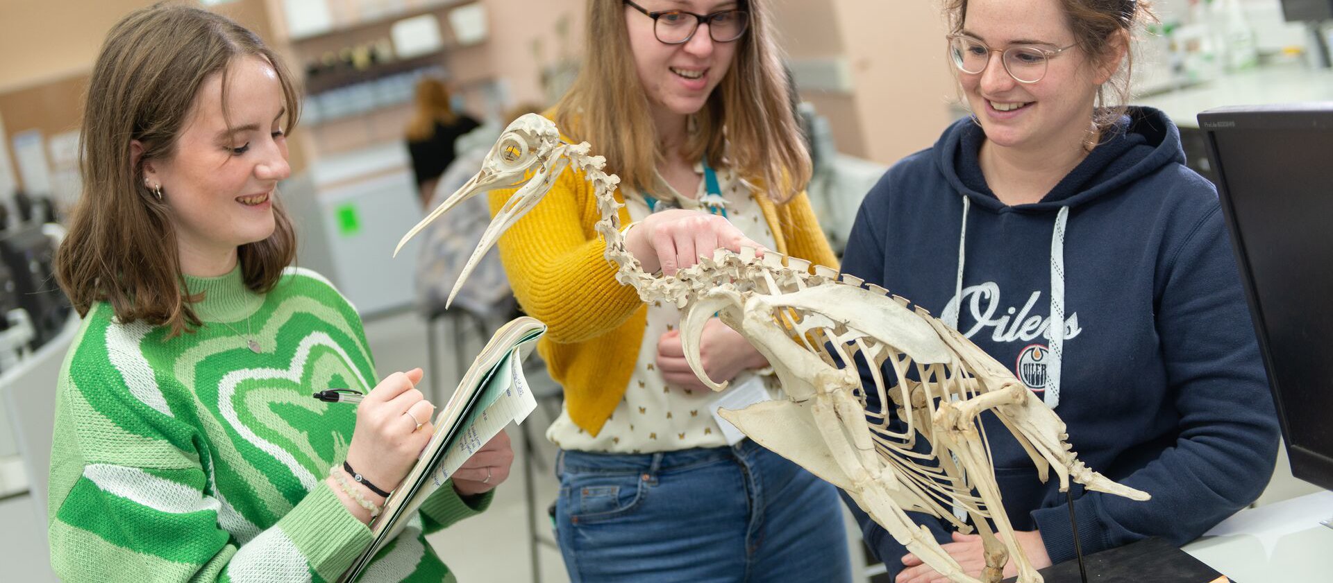 zoology students examining the skeleton of a king penguin
