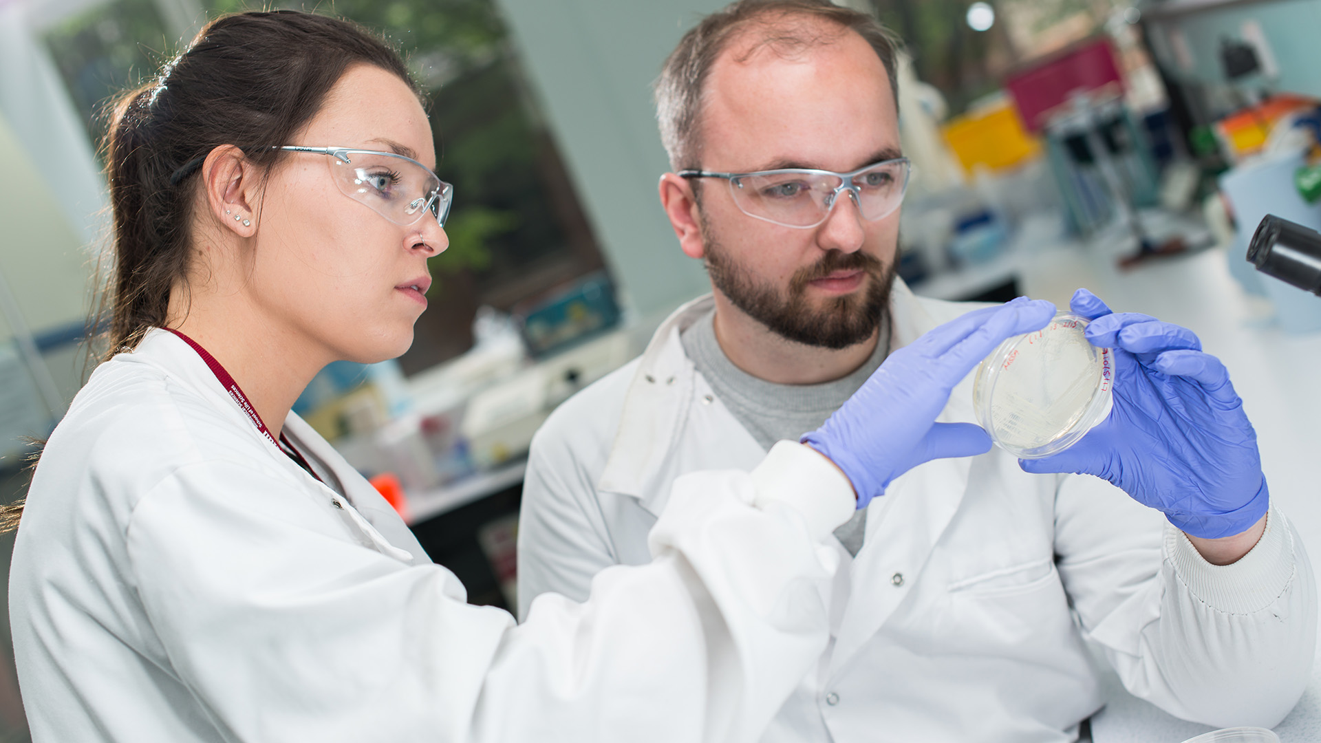 Biomedical science students examining a petri dish