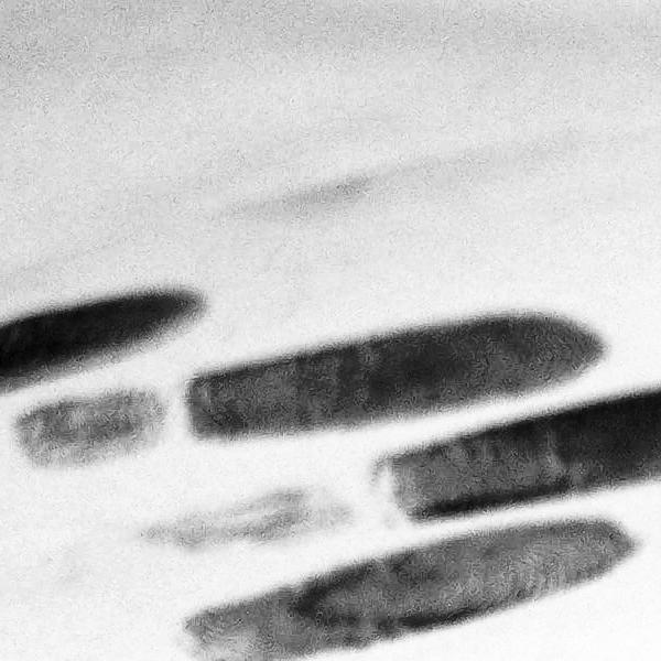 Criminology-with-Forensic-Science