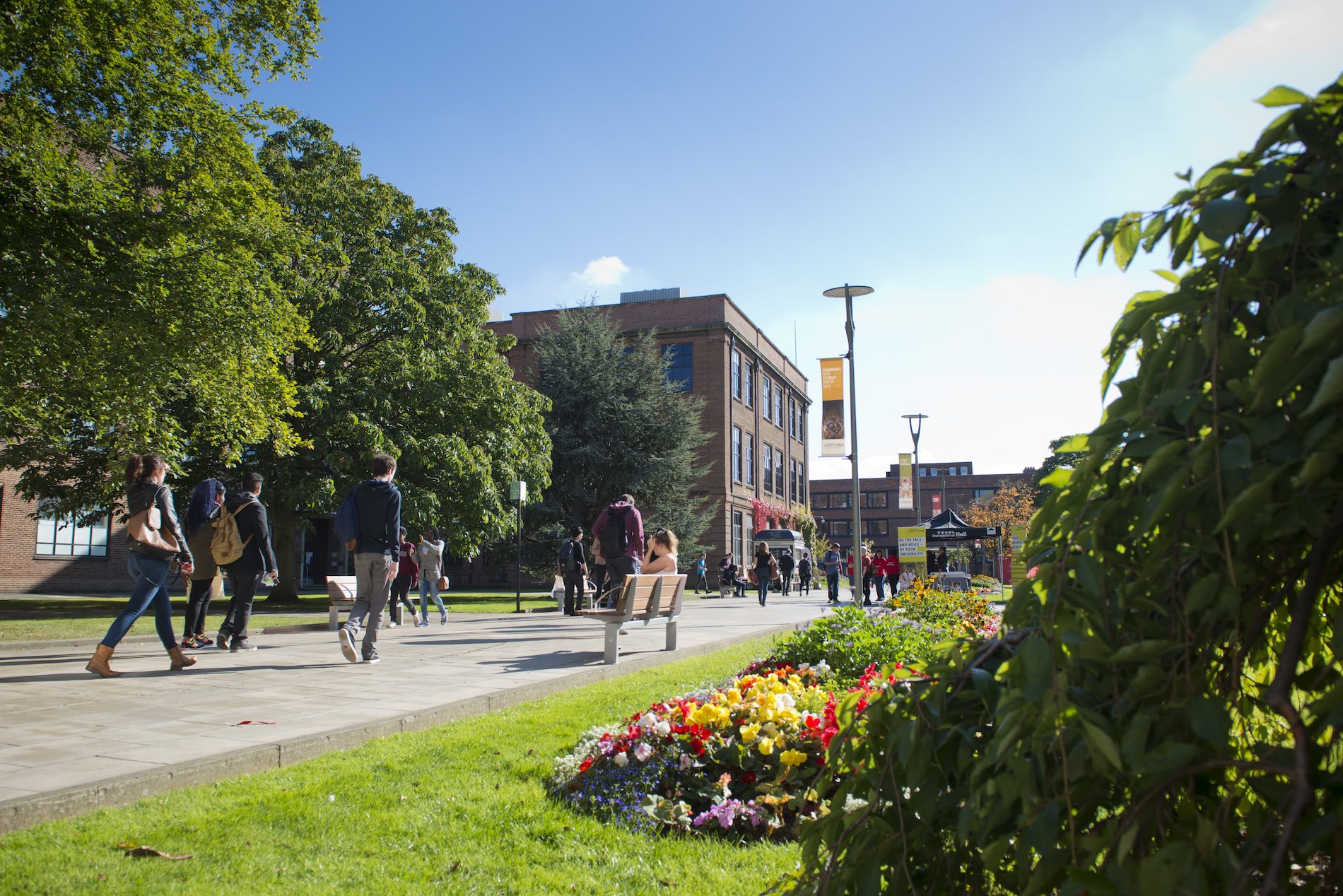 Busy Walkway towards Chemistry Building Landscape Blue Sky UNI_7846-min