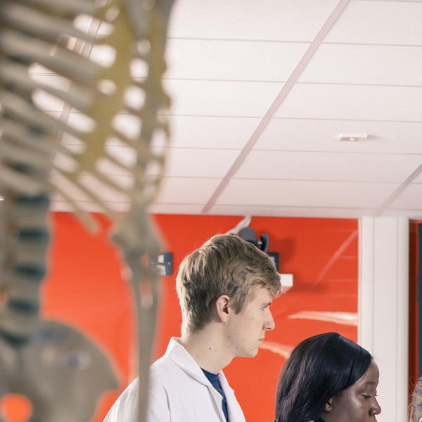 Anatomy students around table being tutored