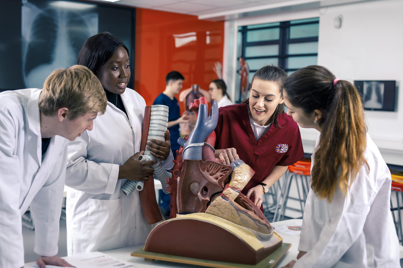 Anatomy students inspecting oversized model of a human heart