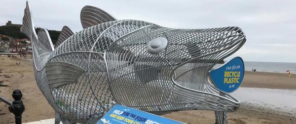 Fin-the-Fish-moves-south-for-Winter-Oct-2019-final
