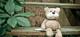 a teddy bear sat on some steps