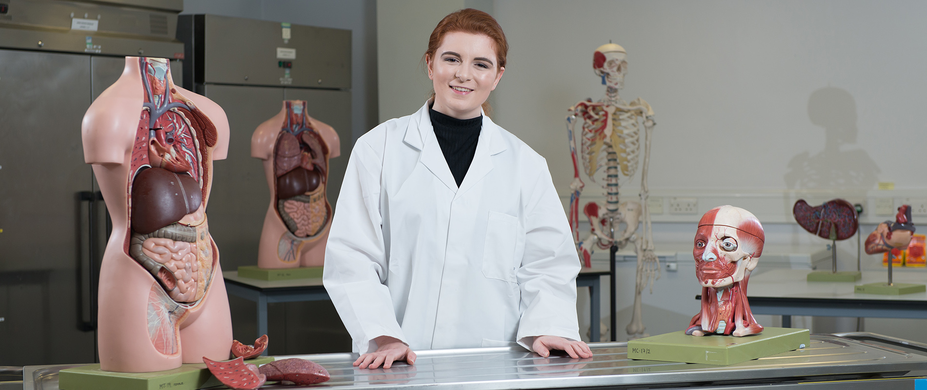 Clinical anatomy