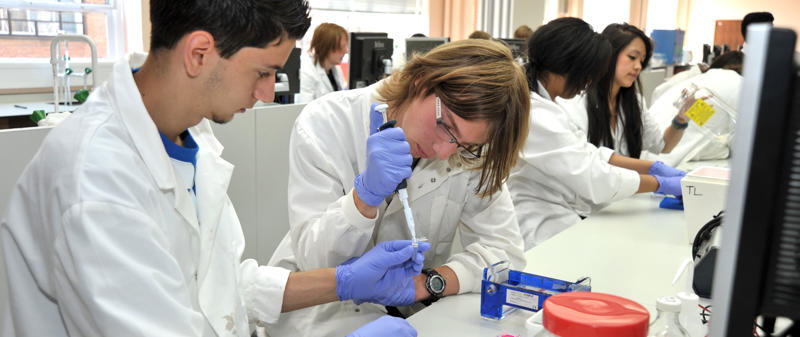 Biological Sciences Workshop