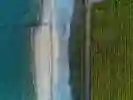 Aerial view of the coast showing blue sea, beach and green land