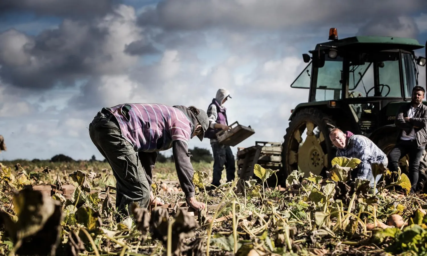 Modern slaves working on a farm in the UK
