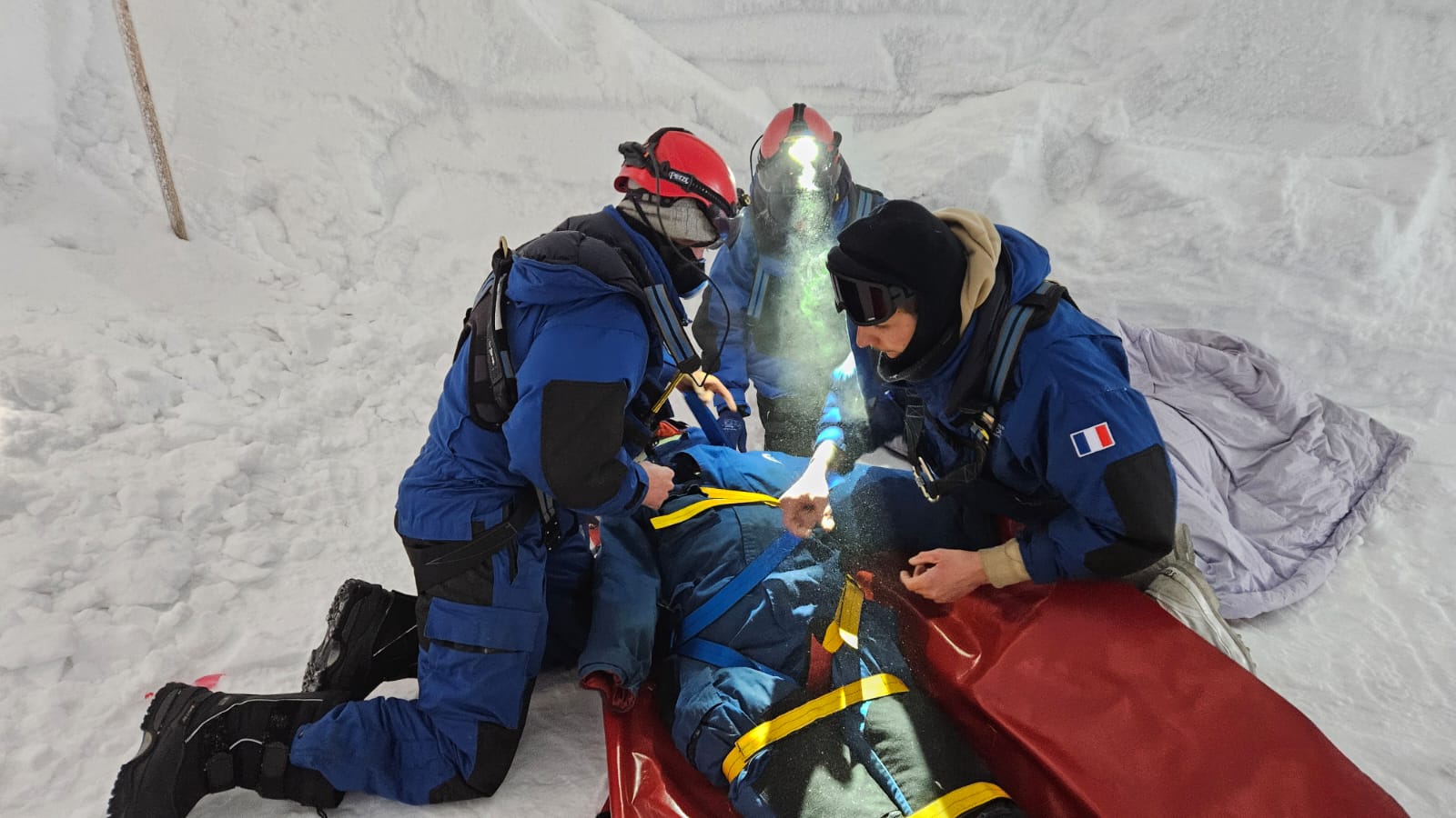 Rescue Scenario - Nina Purvis - Alumni Interview