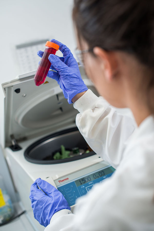 Student looks at a test tube in a lab