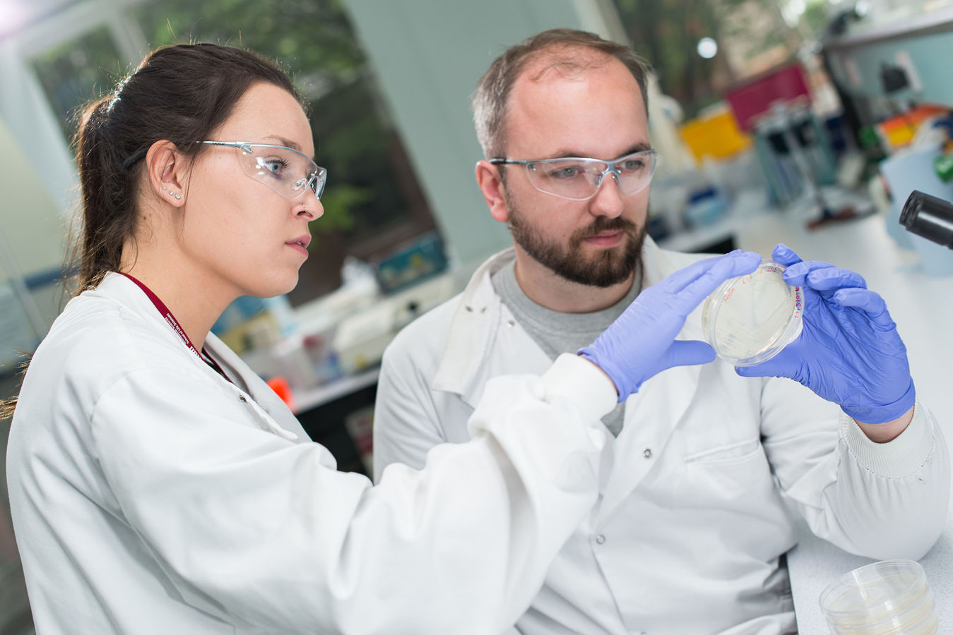 Two PhD students examine a petri dish in a laboratory