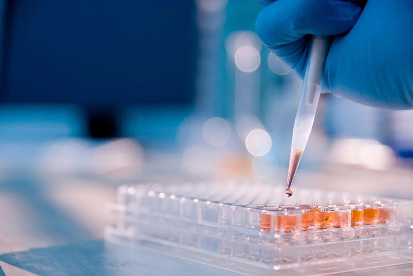 gloved hand pipetting liquid into lab equipment