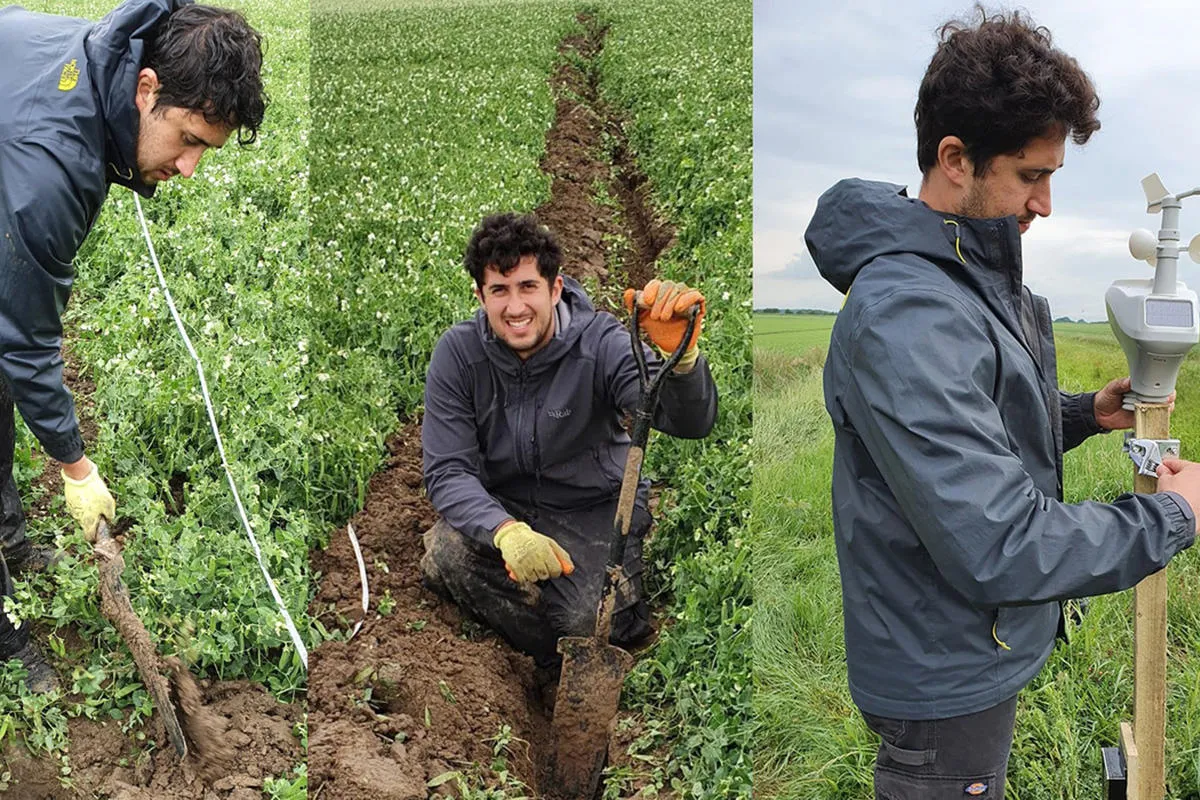 Montage of images showing Dr Josh Ahmed working in a field