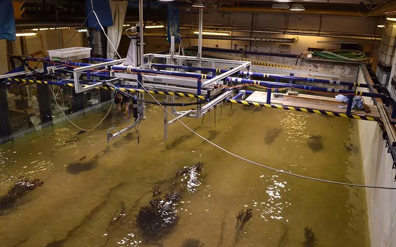 total environment simulator