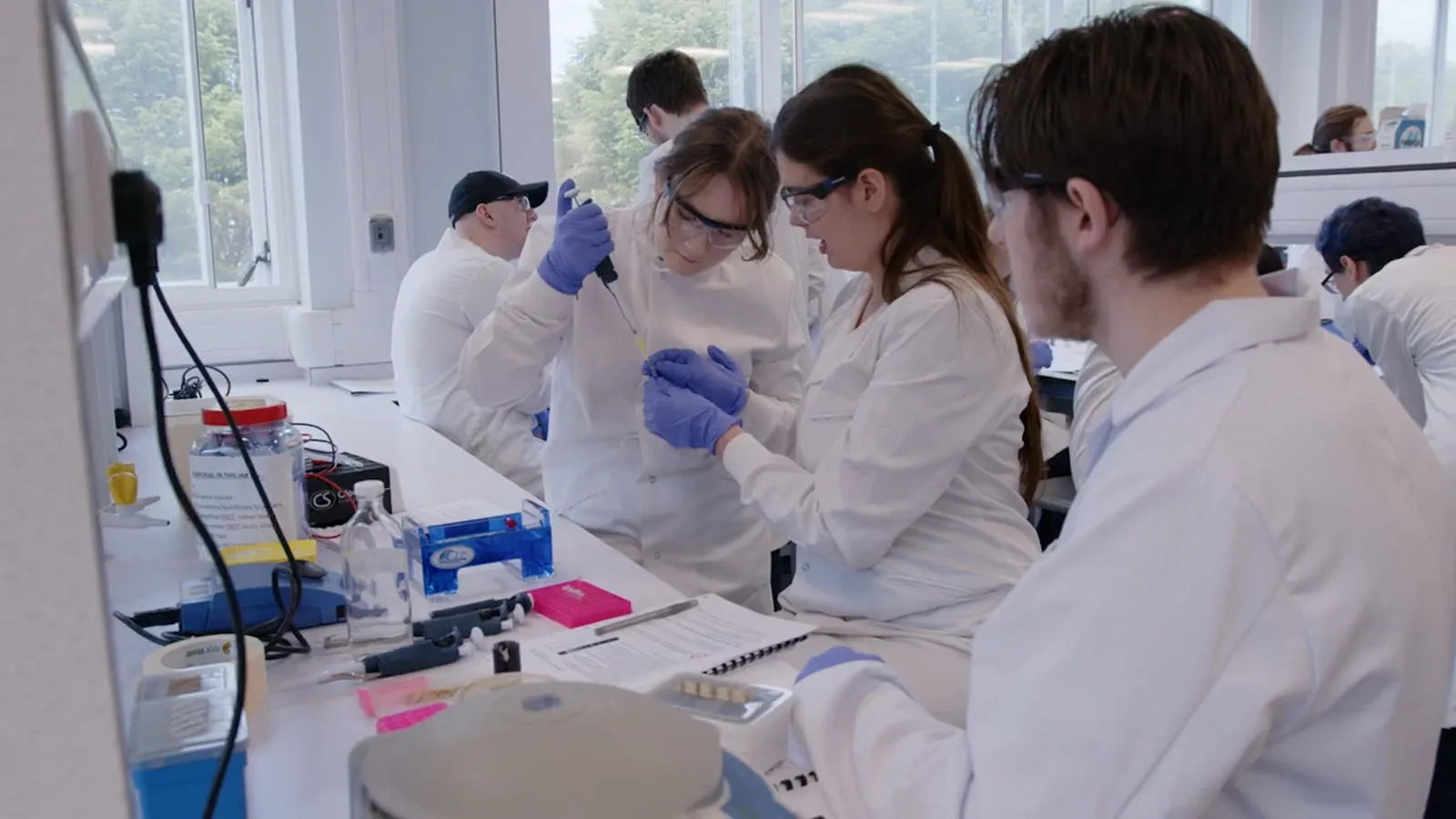 BSc Biology Advanced Training Lab - Extracting DNA at the University of Hull