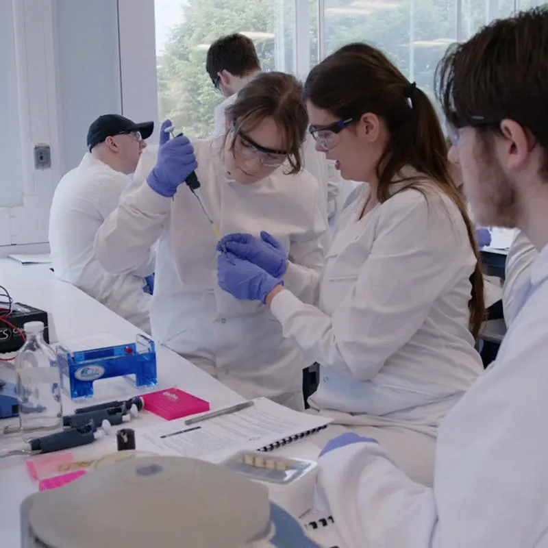 BSc Biology Advanced Training Lab - Extracting DNA at the University of Hull