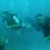 Malaysia field trip 2019 Biological & Marine Sciences