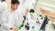 Introduction to Biological Sciences at University of Hull