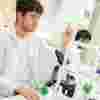 Introduction to Biological Sciences at University of Hull