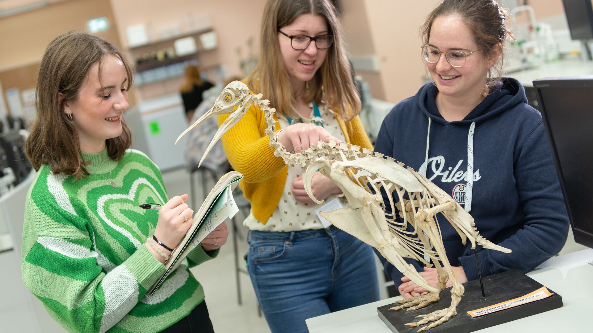 Vertebrate Zoology - King Penguin - Students at the University of Hull
