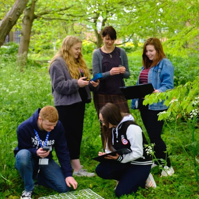 University of Hull Environmental Science student doing fieldwork in a wooded area