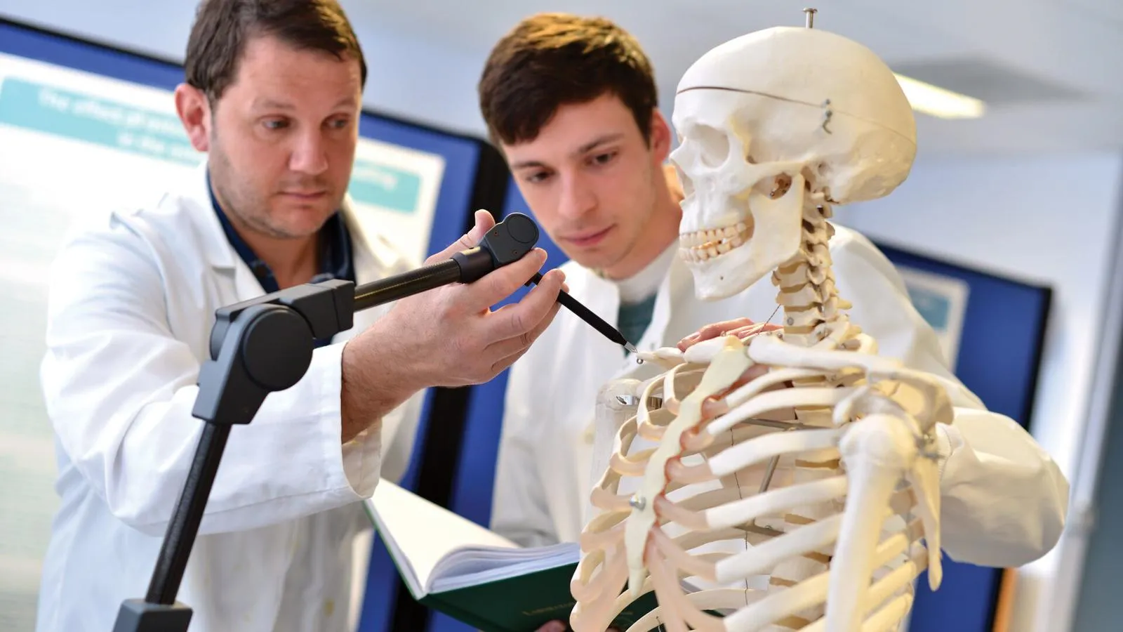 Biomedical Engineering students measuring anatomical skeleton