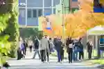 A large group of prospective students wandering campus on a sunny open day