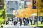 A large group of prospective students wandering campus on a sunny open day