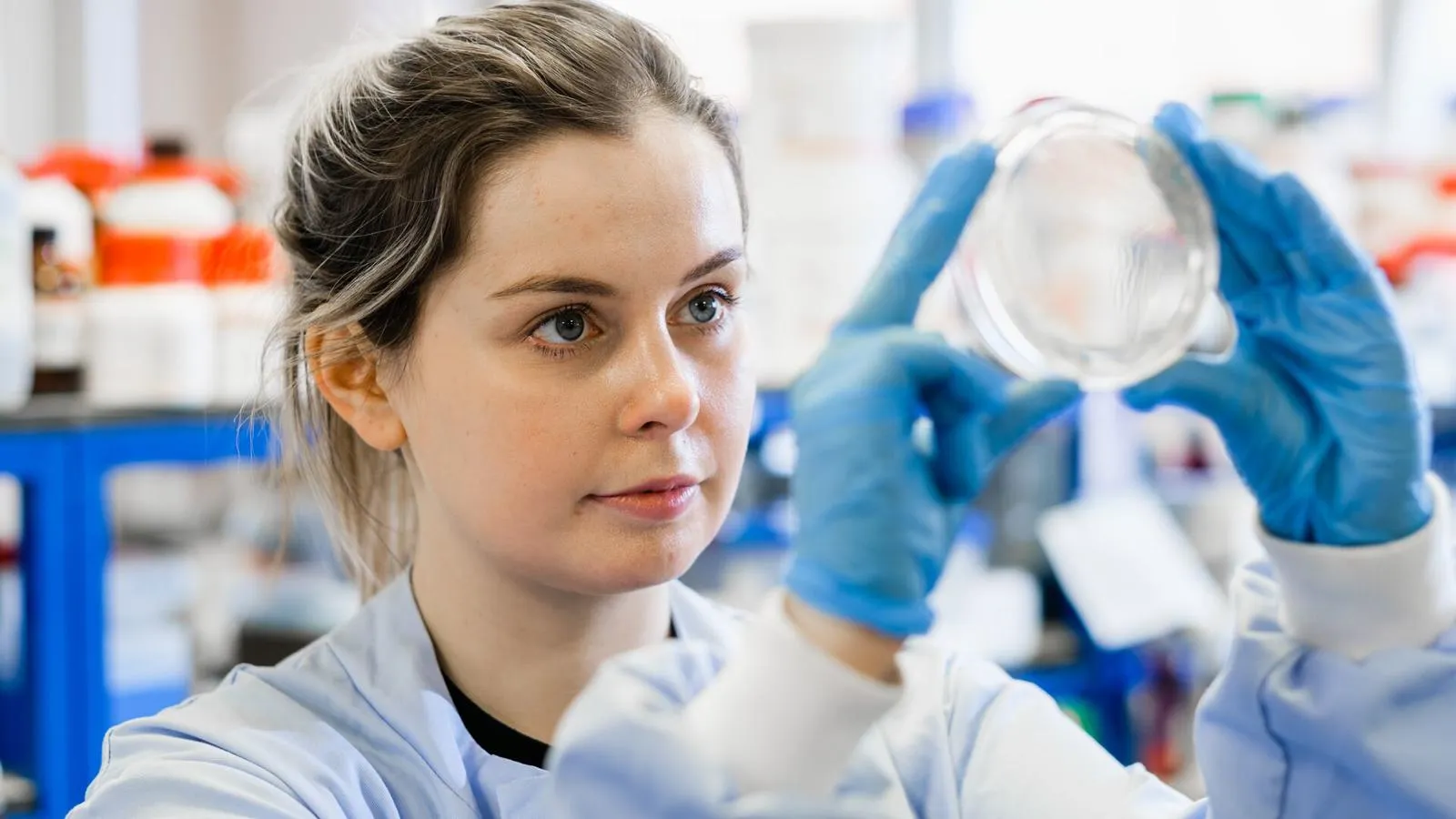 A researcher holding a petri dish up to the light