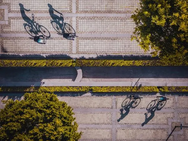 People riding bicycles seen from above, with long shadows