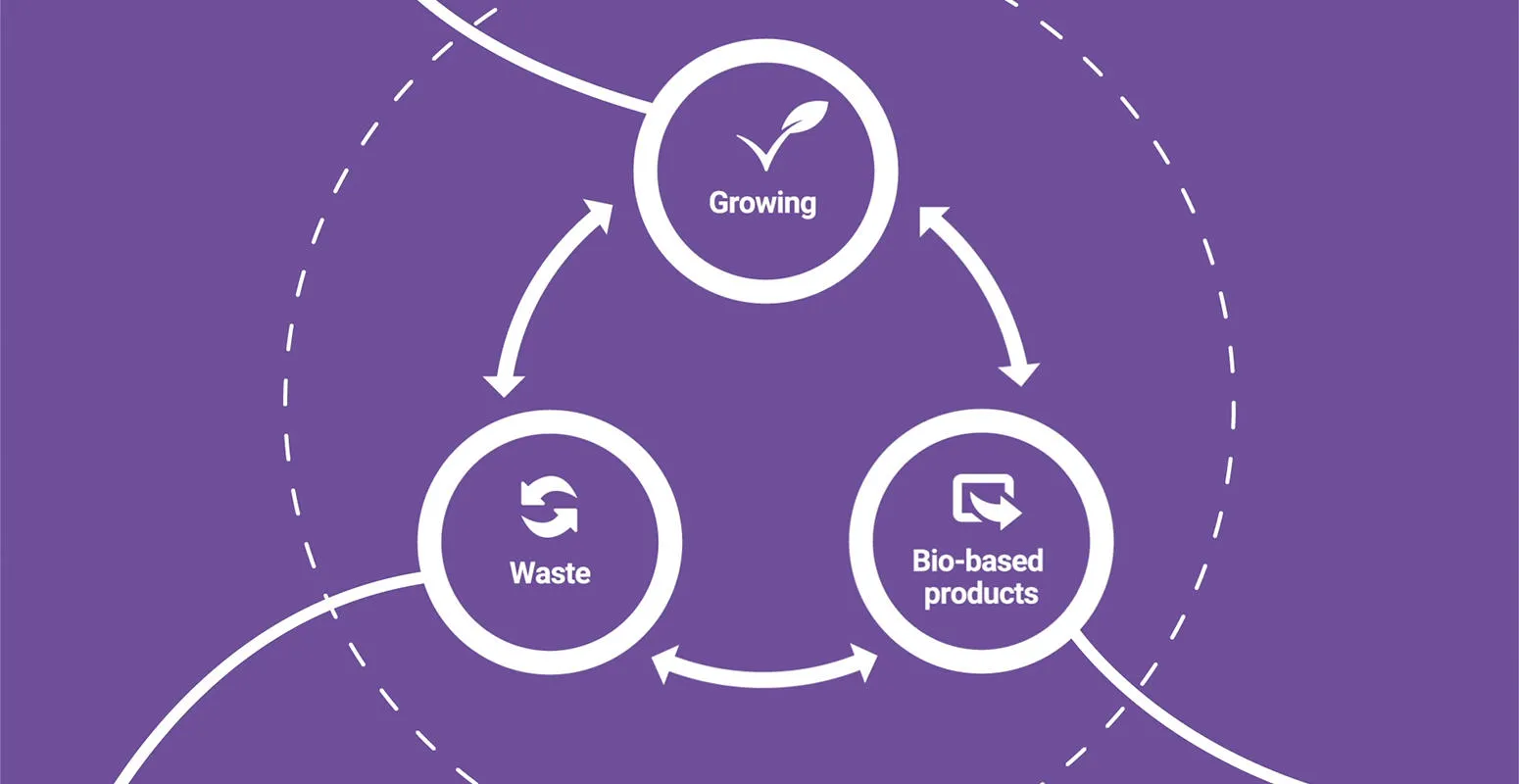Line drawings and icons showing a circular economy model in the bioeconomy