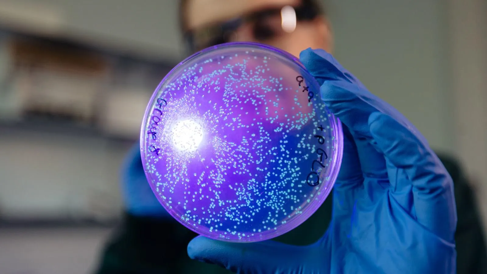 Biochemistry at the University of Hull