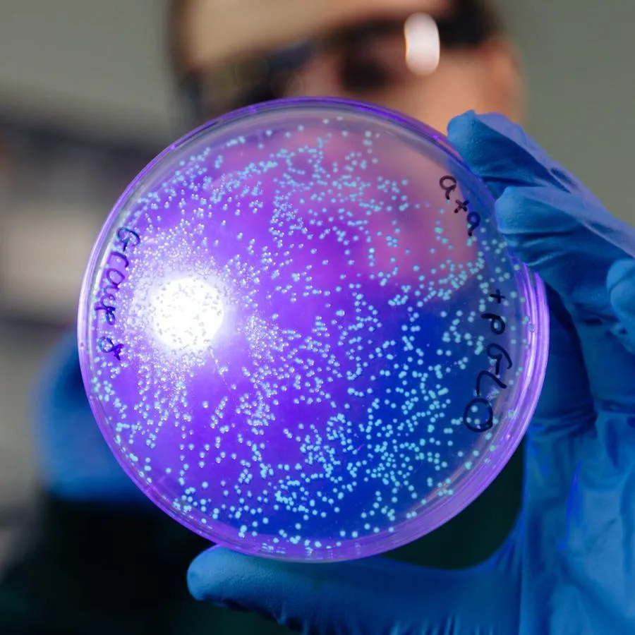 Biochemistry at the University of Hull