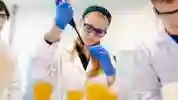 Biological Marine Science at the University of Hull